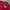 Hummel Casual Jersey Pria burgundy photo 3