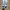 Adidas Streetwear Casual Casual shoe Pria brown black photo 1