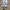Adidas Streetwear Casual Casual Shoe Pria Brown Black