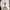Casual Sweater Pria white photo 5