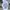 Casual Sweater Pria white photo 3