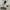 Streetwear Puffer jacket Pria white photo 6
