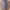 Marks & Spencer Casual Jegging Wanita gray photo 1