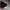 Nike Air Jordan Sportswear Casual Short Pria black photo 2