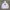 Nike Streetwear Sportswear Hoody Pria White