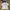 Sportswear Casual Track jacket Pria white photo 1