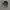 Columbia Sportswear Hat Pria gray photo 4