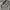 Y2K Jeans Pria blue gray photo 4