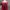 Lolita Casual Midi dress Wanita red photo 2