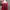 Lolita Casual Midi Dress Wanita Red