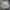 Titleist Streetwear Casual Polo shirt Pria white gray photo 1