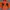 Fieldcore Gorpcore Parka Pria orange photo 1