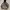 CARHATT THERMAL HOODIE BROWN TRAVIS photo 1