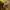 Valentino Luxury Casual Polo shirt Pria yellow photo 8