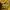 Valentino Luxury Casual Polo shirt Pria yellow photo 7