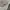 Jeep Sportswear Hat Pria gray photo 5