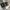 Jeep Sportswear Hat Pria gray photo 7