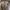 Prada Vintage Bags & purse Wanita tan photo 5