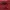 Burberry Luxury Casual Polo shirt Pria red photo 5