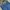 Levi's Indie Casual Jeans Pria blue photo 3