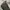Nike Streetwear Sportswear Bag Pria black photo 5