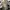 Nike Streetwear Sportswear Bag Pria black photo 7