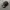 New Era Casual Hat Pria black photo 2