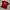 Vintage T-shirt Pria red photo 2