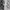 Casual Maxi dress Wanita white photo 1