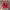 47 Brand Sportswear Hat Pria Red