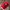 47 Brand Sportswear Hat Pria Red