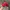 47 Brand Sportswear Hat Pria red photo 3