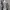 Luxury Casual Blazer Wanita multicolor photo 3