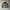 8seconds Vintage Casual Denim jacket Pria cream photo 1