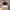 47 Brand Sportswear Hat Pria multicolor photo 1