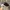 47 Brand Sportswear Hat Pria multicolor photo 2