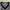 Japanese brand Casual Crop top Wanita white black photo 3