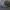Bushmaster Realtree Camo Twotone photo 3