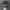 Bushmaster Realtree Camo Twotone photo 2