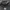 Bushmaster Realtree Camo Twotone photo 4
