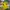 Adidas Vintage Sportswear Jersey Pria yellow photo 2