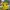 Adidas Vintage Sportswear Jersey Pria Yellow