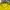 Adidas Vintage Sportswear Jersey Pria yellow photo 5