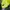 Adidas Vintage Sportswear Jersey Pria yellow photo 3