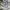 Adidas Vintage Sportswear Short Pria green gray photo 6