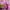 mini skirt babypink fullprint cute coquette vintage y2k photo 4