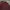 Polo Ralph Lauren Luxury Casual Polo shirt Pria burgundy photo 2