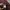 Polo Ralph Lauren Luxury Casual Polo shirt Pria burgundy photo 4