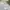 VANS Vintage Streetwear T-shirt Pria gray photo 4
