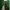 Casual Sandals & Slide Pria Green White